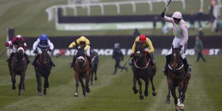 Predicting the winner of The Racing Post Arkle based solely on the horses’ names