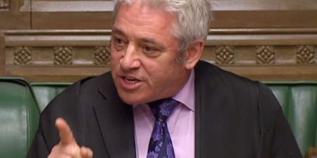 Speaker John Bercow delivers casting vote in Commons because our government is beyond useless