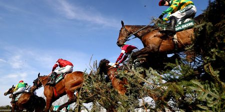 Grand National under review after three horses die during this year’s meeting