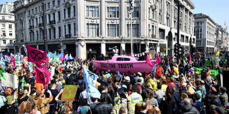 Support for Extinction Rebellion has quadrupled since they blockaded London