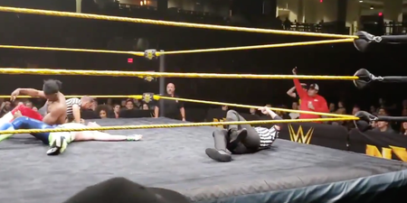 WWE referee breaks his leg during match but still manages to count the pin