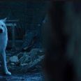 Something about Jon Snow and his wolf has annoyed a lot of people