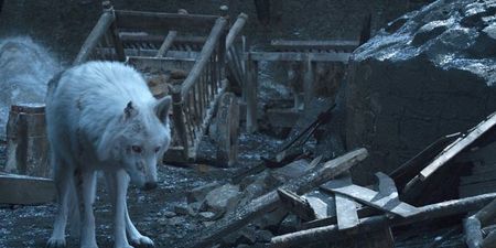 Game of Thrones director explains why Jon Snow didn’t give his wolf a goodbye pet