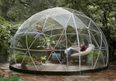 You can now buy a glass igloo to add some swag to your garden this summer