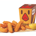 You can now buy Chicken Fries at Burger King and they look delicious