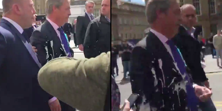 Nigel Farage erupts at security after being hit with milkshake while campaigning in Newcastle