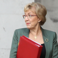 Andrea Leadsom quits government as pressure mounts on Theresa May