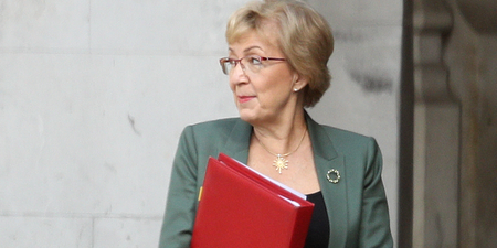 Andrea Leadsom quits government as pressure mounts on Theresa May