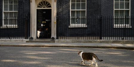 Larry the Cat had to be carried out of the way in order for Theresa May to resign