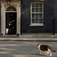 Almost half the country want the new prime minister to hold a general election