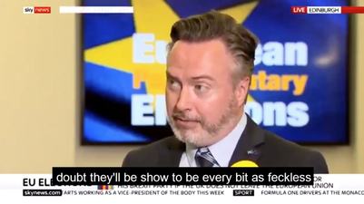 SNP MEP absolutely eviscerates Brexit party during Sky News interview