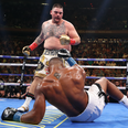 Who is Andy Ruiz Junior? The ‘chubby kid’ who stunned Anthony Joshua and the world