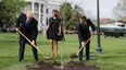 The ‘friendship tree’ planted by Trump and Macron last year has died