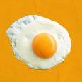 Ranking the best ways to cook eggs from best to worst