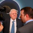David Attenborough delivers stark warning to parliament about the climate crisis