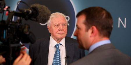 David Attenborough delivers stark warning to parliament about the climate crisis