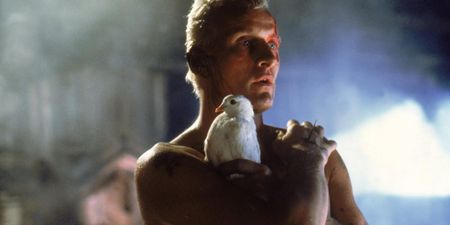 Rutger Hauer was the sort of actor who could give even the worst film a touch of true class