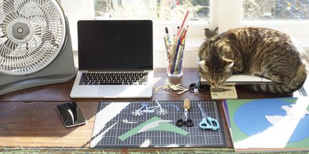 Working from home: Survival Guide