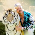 Big cat expert reviews Netflix hit show Tiger King