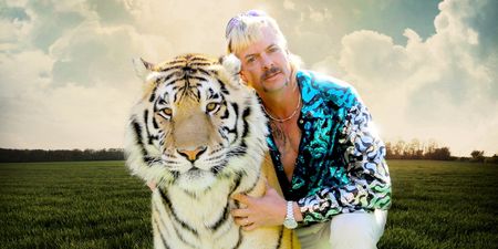 Big cat expert reviews Netflix hit show Tiger King