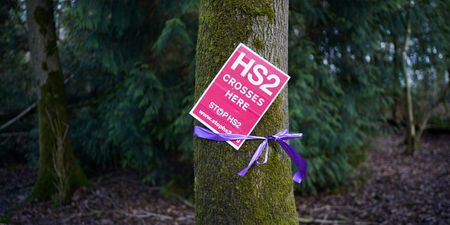 HS2 protesters take to the trees to halt construction