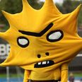 Rating the best and worst football mascots around