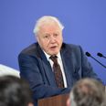 Sir David Attenborough and rapper Dave team up for Planet Earth special episode