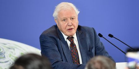 Sir David Attenborough and rapper Dave team up for Planet Earth special episode