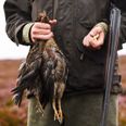 Government exempt hunting and grouse shoots from Rule of Six COVID law