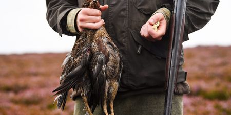 Government exempt hunting and grouse shoots from Rule of Six COVID law