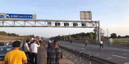 Cricket match breaks out on the M1 outside Luton during traffic jam