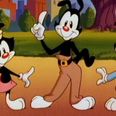 Classic 90s cartoon Animaniacs is getting rebooted, and here’s the first trailer