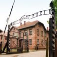 10% of young Americans believe that Jews caused the Holocaust says new study