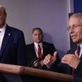 Anthony Fauci slams Trump for including him in a campaign advert