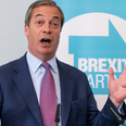 Brexit Party throws supporters into revolt after suggesting support for Marcus Rashford’s free school meals campaign