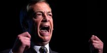 Nigel Farage is relaunching the Brexit Party as an anti-lockdown party