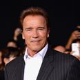 Arnold Schwarzenegger to star in his first scripted TV show for Netflix