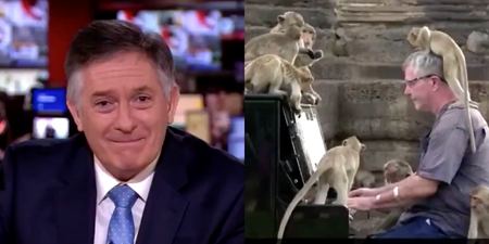 BBC newsreader cracks up on air presenting story on man playing piano for monkeys