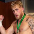 Jake Paul says he intends to knock out Conor McGregor