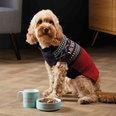 Aldi is now selling matching Christmas jumpers for you and your dog