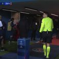 PSG and Istanbul Basaksehir leave pitch over alleged racist abuse of Istanbul coach