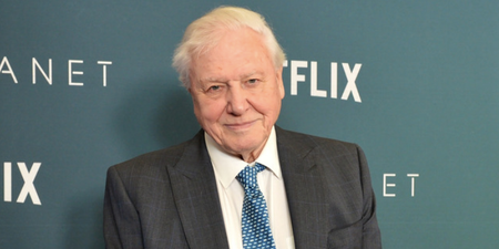 Sir David Attenborough ‘punched the air’ when Donald Trump lost the presidential election