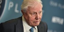 Sir David Attenborough selected as Earth’s representative if we ever make contact with aliens