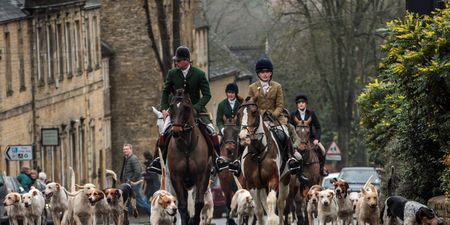 Boxing Day hunts go ahead in spite of COVID-19 restrictions