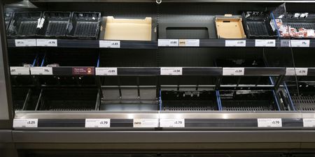 Fruit & veg shortages on supermarket shelves following Brexit port delays and staff absences
