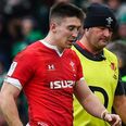 Wales in disarray after Josh Adams “embarrassed himself” with Covid breach