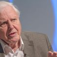 David Attenborough: Anti-vaxxers are ‘ignorant minority’