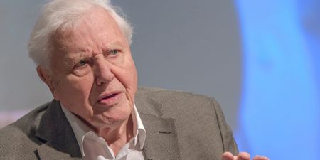 David Attenborough: Anti-vaxxers are ‘ignorant minority’
