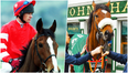 Can you name the legendary Irish race horses from just a photo?