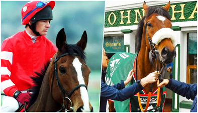 Can you name the legendary Irish race horses from just a photo?